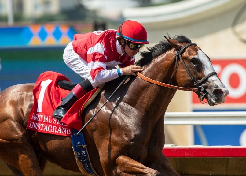 Kentucky Derby odds horse racing