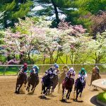 Live Horse Racing Lottery Game to Debut in Kentucky This Weekend