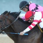 Split Rebel Stakes Leads to Record Day at Arkansas’ Oaklawn