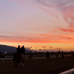 Santa Anita Suspends Racing After Fatality, Kentucky Derby Prep, Other Stakes Rescheduled