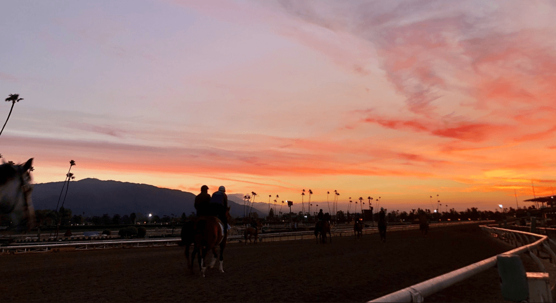 Santa Anita suspension horse racing