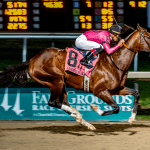 Kentucky Derby Trail Sees War of Will Ready for Battle in Louisiana