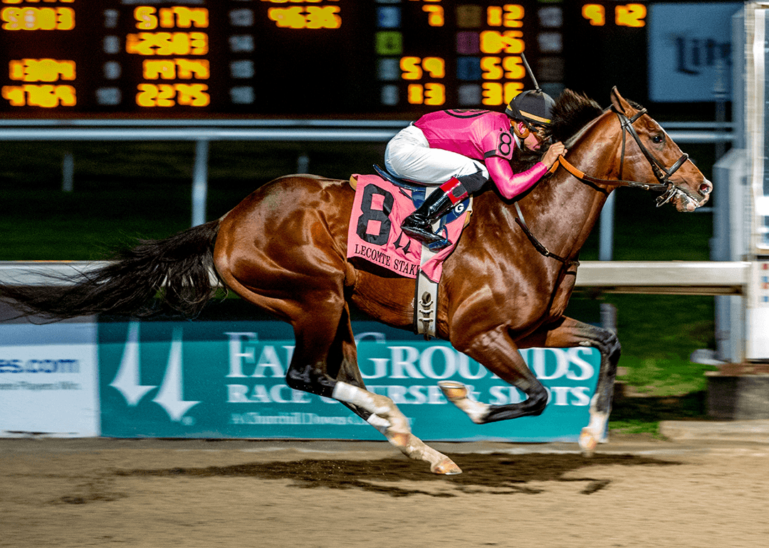 Kentucky Derby Trail Sees War of Will Ready for Battle in Louisiana