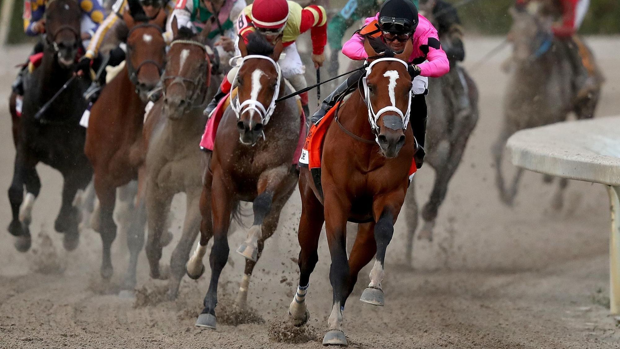 Kentucky Derby Spots Scored by Maximum Security, Plus Que Parfait
