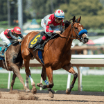 California Board Pushes Back Discussion of Santa Anita Racing Dates Amid 23 Horse Death Scandal