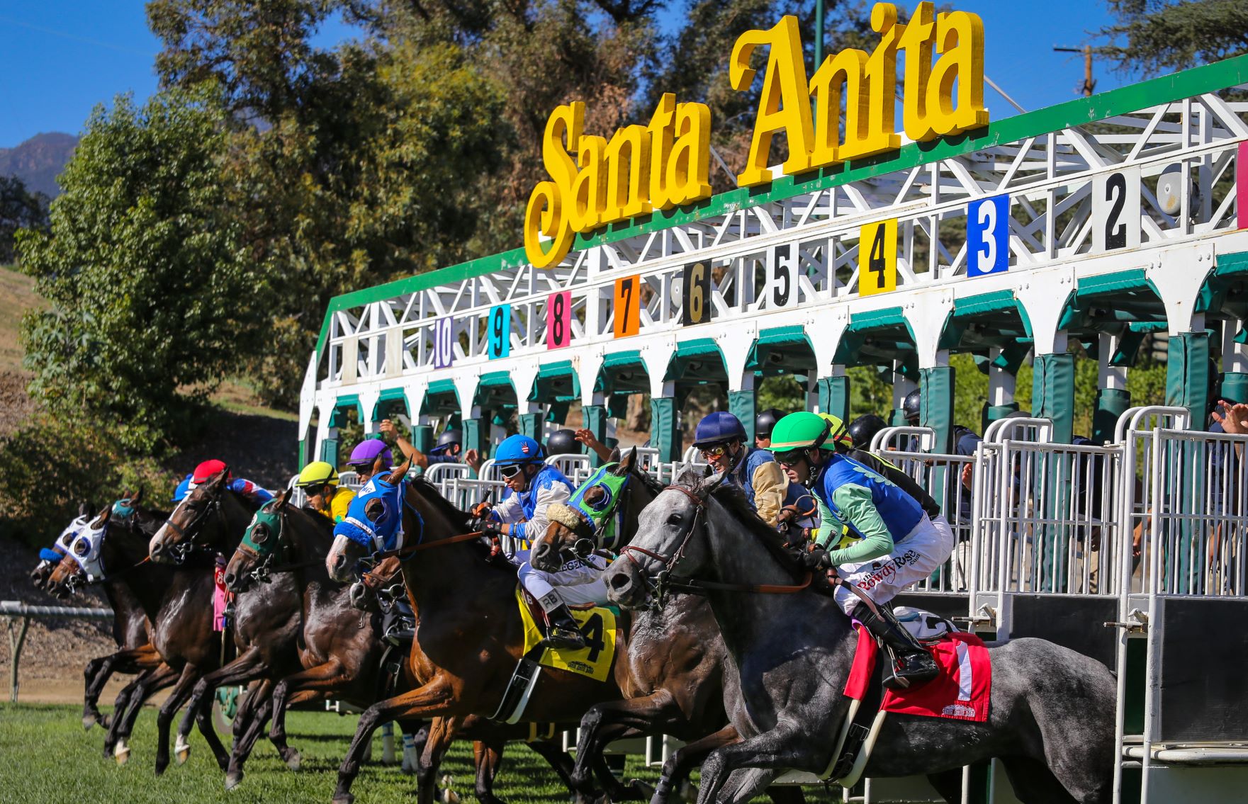 California Horse Racing Board To Mull Options To Move Santa Anita Dates