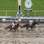 Humane Society of the United States Calls for Santa Anita to Suspend Racing After Another Horse Dies