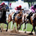 California Board Gives Santa Anita Green Light to Continue Horse Racing as Other Tracks Join Push for Reforms