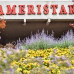 Penn National Gaming Weathers Regional Storms, Posts Record Operating Income