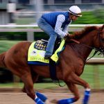 Improbable Tabbed as Morning Line Favorite for Saturday’s Preakness Stakes