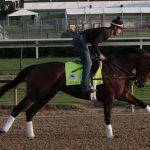 Entrapped Epiglottis Forces Favorite Omaha Beach Out of Kentucky Derby