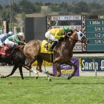 Sen. Feinstein, LA Times Call on Santa Anita to Stop Horse Racing After Another Equine Fatality