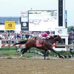 Pimlico Posts Record Handle for Preakness Stakes Card With Nearly $100M in Bets Placed