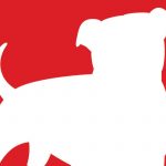 Zynga Stock Hits Seven-Year High on Record Q1 Revenues: Turnaround Complete, Says Social Giant