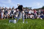 Dustin Johnson Tiger Woods US Open golf odds
