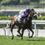 Two More Horses Die at Santa Anita as California Board Calls for Racing Stoppage; Attendance, Handle Plummet