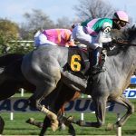 Oddsmakers Consider Tacitus, War of Will Prime Contenders for Saturday’s Belmont Stakes