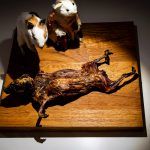 Mandalay Bay to Host Disgusting Food Museum (You’ve Been Warned) at October Vegas Food Expo