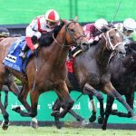 New York Racing Association’s Turf Triple Series Starts Saturday with Strong Fields at Belmont Park