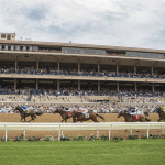 ‘Freak’ Accident During Del Mar Training Session Results in Two Horse Deaths