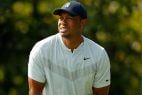 Tiger Woods golf odds