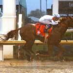 Justify Trainer Bob Baffert Denies NY Times Allegations of Doping 2018 Triple Crown Colt