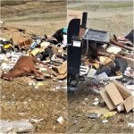 PETA Calls for Investigation After Race Horse Remains Found in West Virginia Landfill