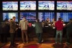 sports betting handle odds