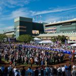 Breeders Cup at Santa Anita Posts Record Handle for Friday Races; Omaha Beach, Bricks and Mortar Among Saturday Favorites