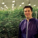 Drug Wars: Las Vegas Casino Exec Turned Legal Marijuana Dealer Sues Competitor for Slander