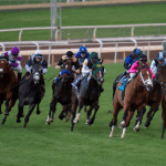 Rainy Forecast Prompts Santa Anita to Delay Start of Meet to Saturday