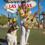 Players And Pooches: MGM Goes Dog-Friendly at Las Vegas Strip, Three Regional Properties