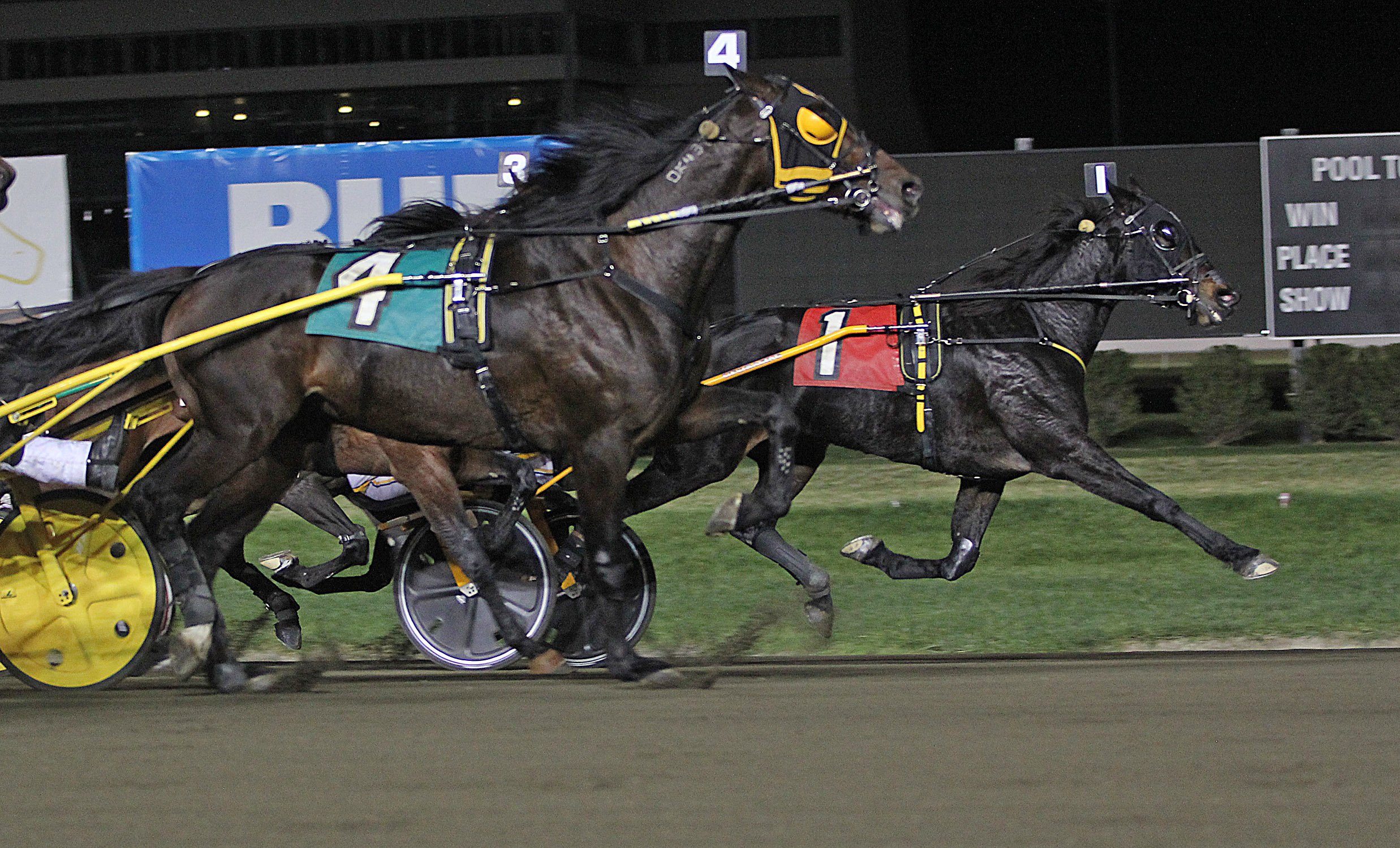 Meadowlands, Wagering Initative Help Boost Harness Racing Handle in '19