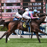 National Horsemens Group Speaks Out Against Proposed Drug Reforms for Racing