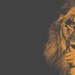 Nevada Regulators Green-Light MGM-GVC Sports Betting Venture ROAR Digital