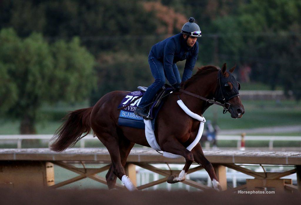 Kentucky Derby Prep Race Stakes Features Deep Field
