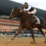Unbeaten Independence Hall Favorite in Kentucky Derby Preps Stakes Race at Tampa Bay Downs