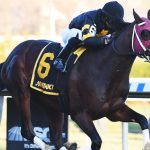 Three Kentucky Derby Prep Races on Tap for Saturday Afternoon, With Shotski, Tiz the Law, and Thousand Words Favored