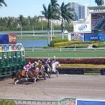 Official Says Gulfstream Park Should Close, Obey COVID-19 Emergency Order in Broward County, Fla.