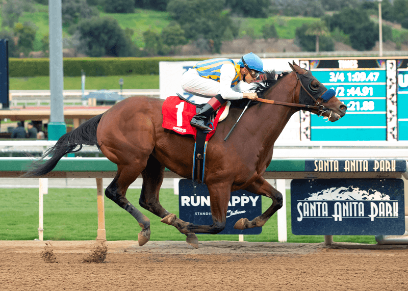 Nadal Favored in Rebel Stakes as Road to Kentucky Derby Hits Oaklawn