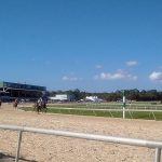 Horse Racing Continues In Florida After Governor’s Stay-Home Order