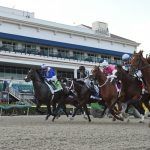 Bettor Turns 50 Cents Into $525K at Gulfstream Park in Southern Florida