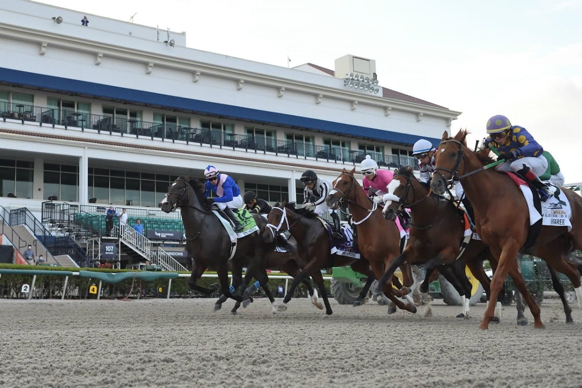 bettor turns 50 cents into 525k at gulfstream park in southern florida