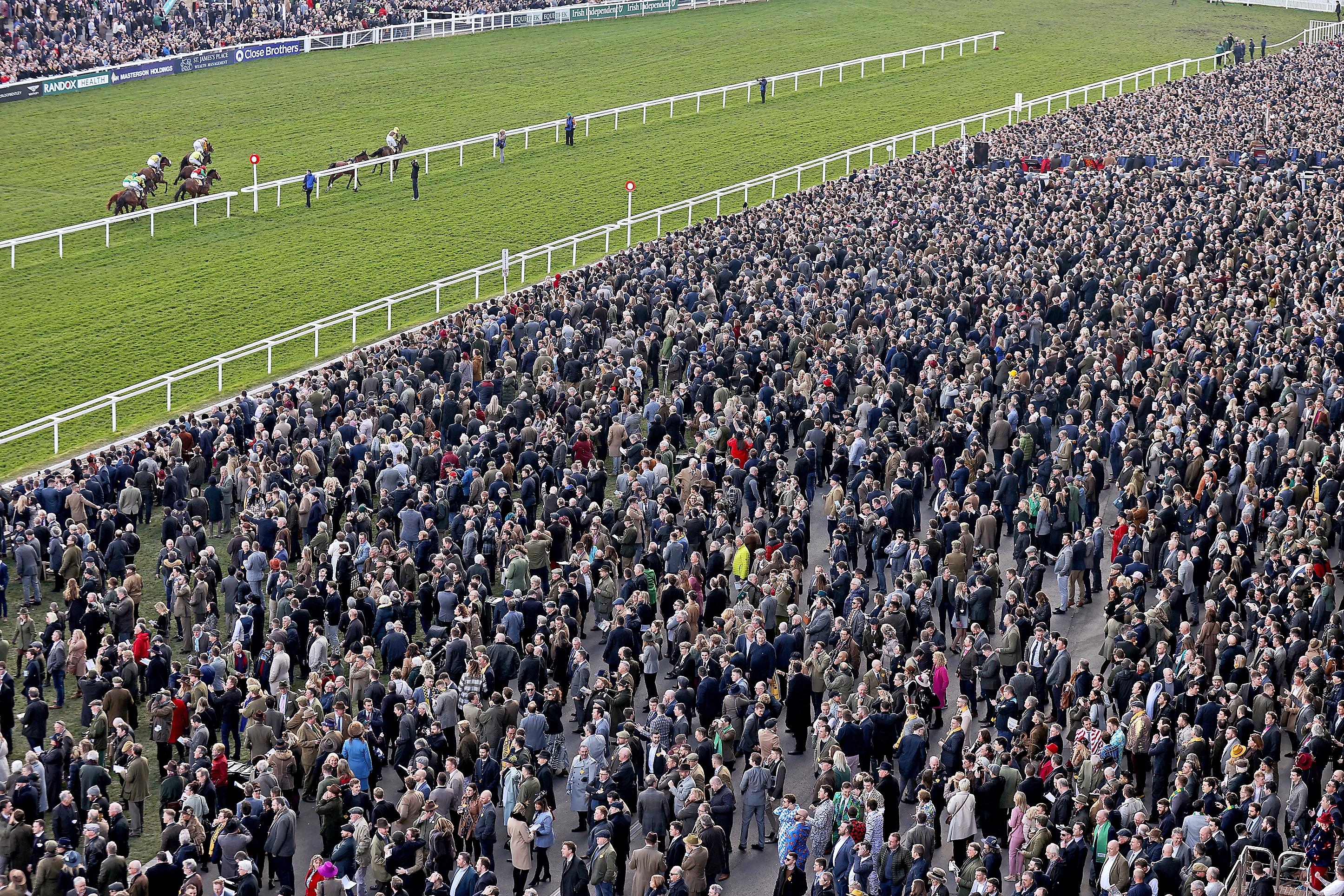 Cheltenham festival