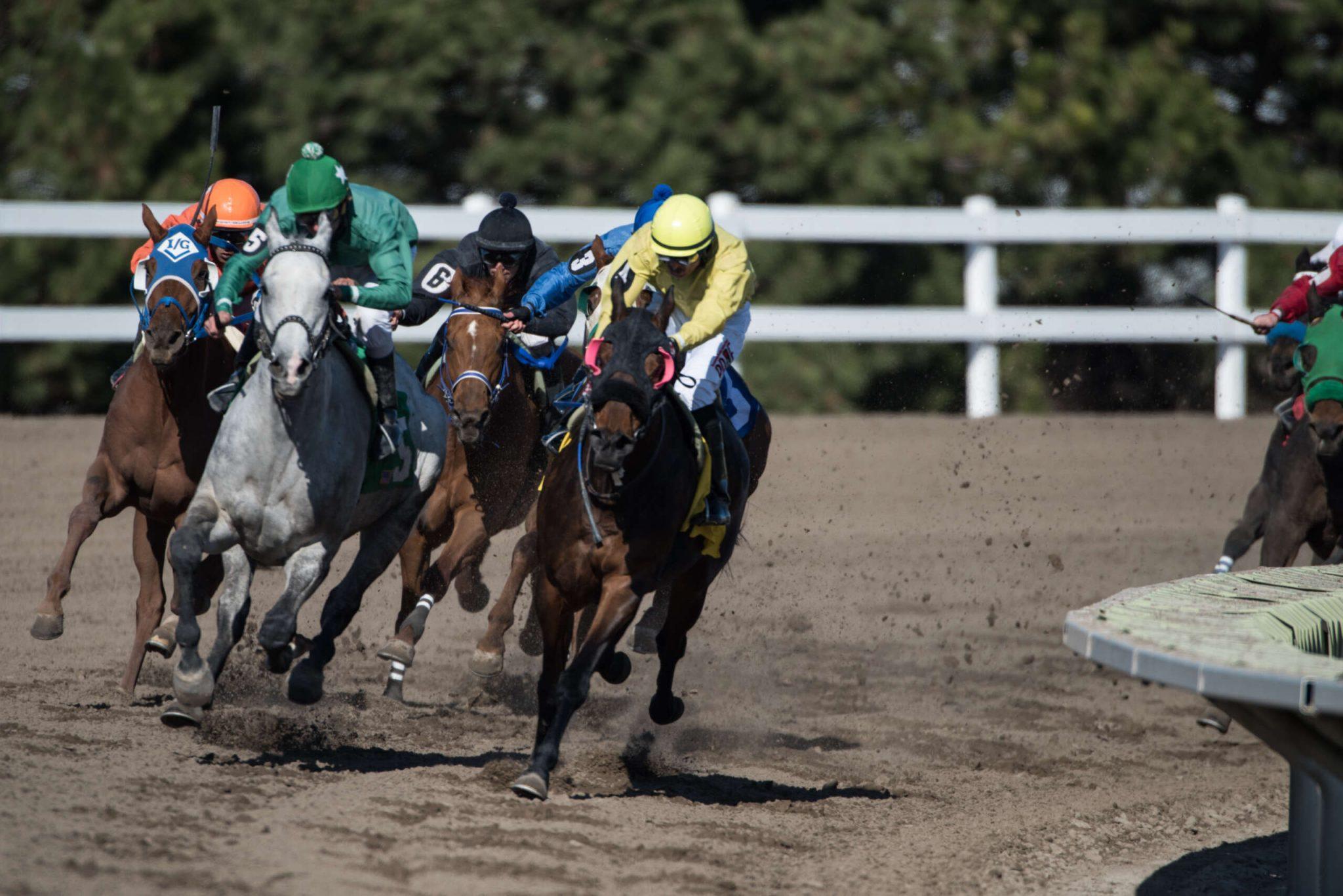 Fonner Park, Tampa Bay Downs Looking at Extending Horse Racing Meets
