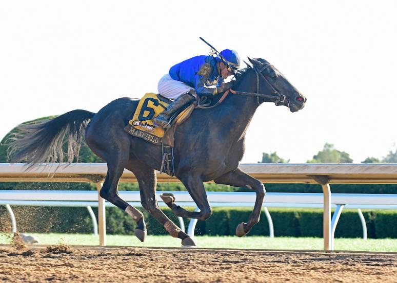 Maxfield, Attachment Rate Look to Get on the Road to the Kentucky Derby