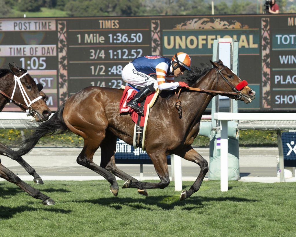 Santa Anita reopen