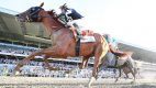 Belmont horse racing