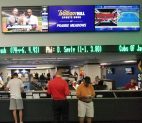 Sports bettors survey