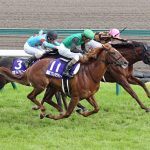 Japanese Racing CEO Slams Bet-to-Lose Aspect of Aussie Exchange